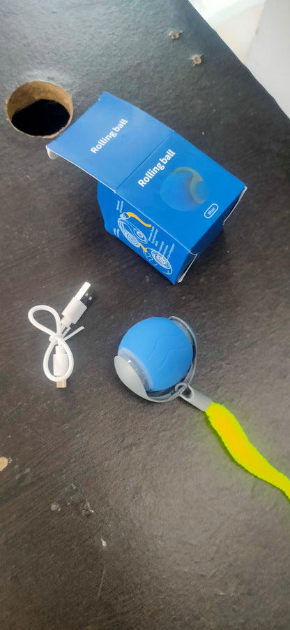 Rolling Ball Cat Toy – USB Rechargeable Interactive Pet Teaser